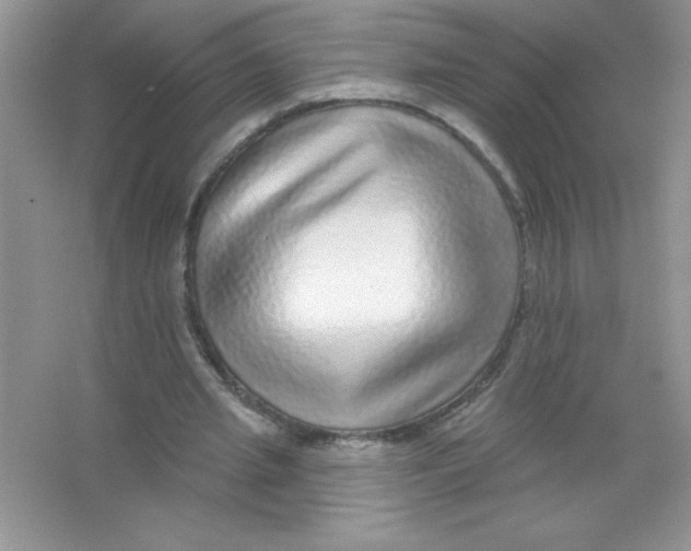 X0000066490437200604072219