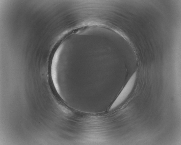 X0000066490438200604072219