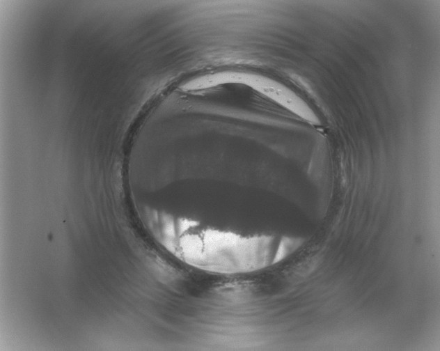 X0000066490447200604072219
