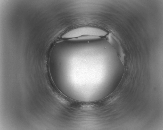 X0000066490450200604072219