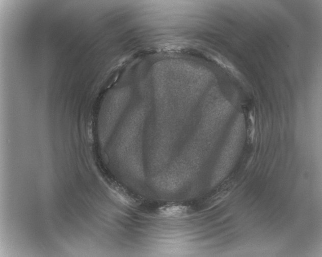 X0000066490452200604072219