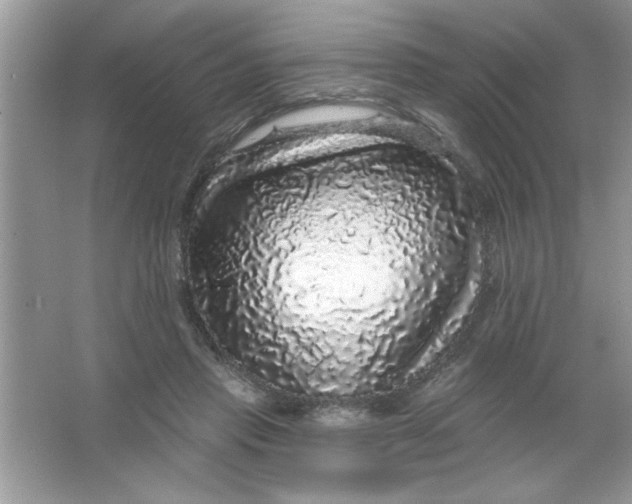 X0000066490453200604072219