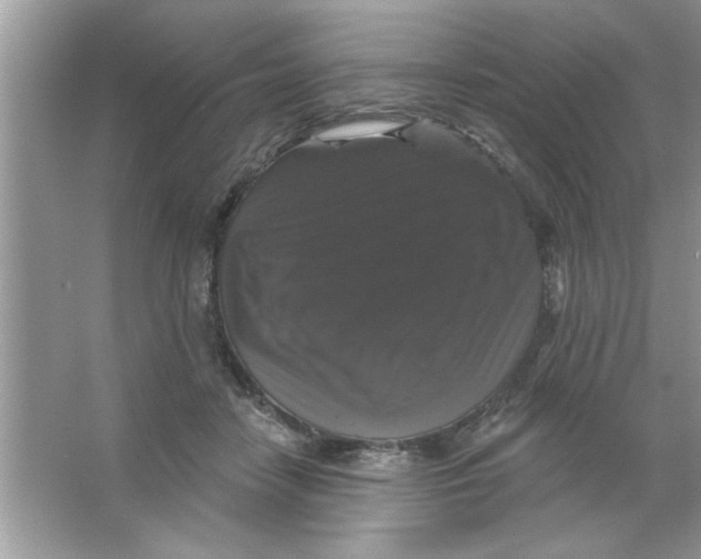 X0000066490458200604072219