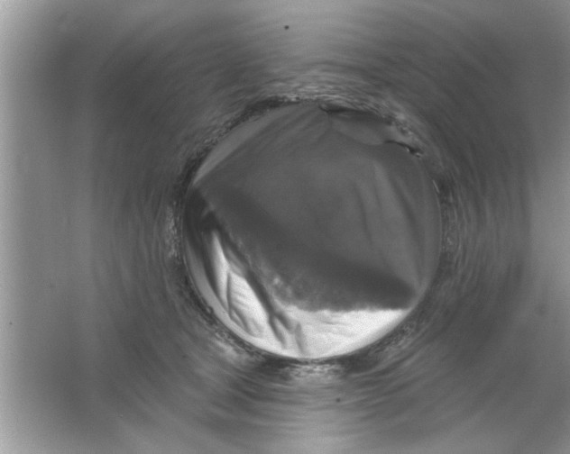 X0000066490465200604072219