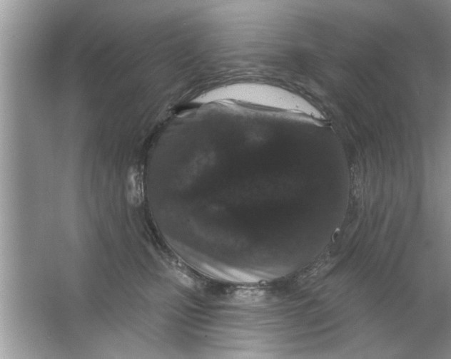 X0000066490471200604072219