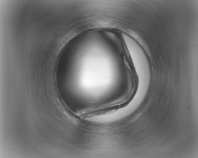 X0000066490481200604072219