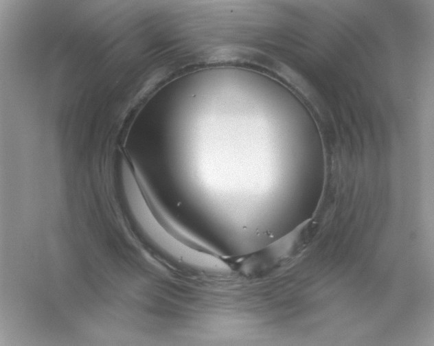 X0000066490485200604072219