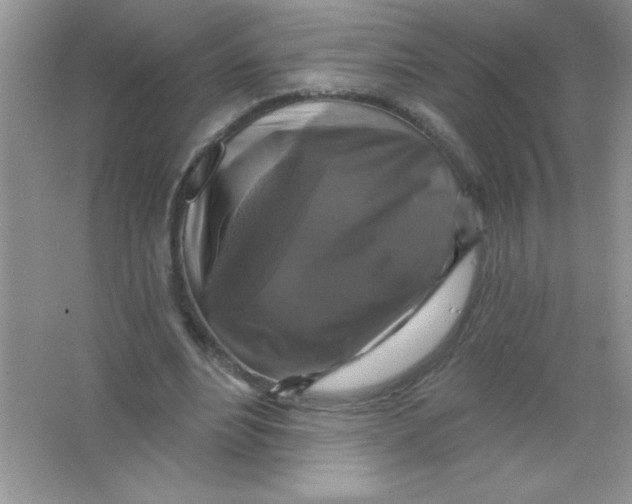 X0000066490488200604072219