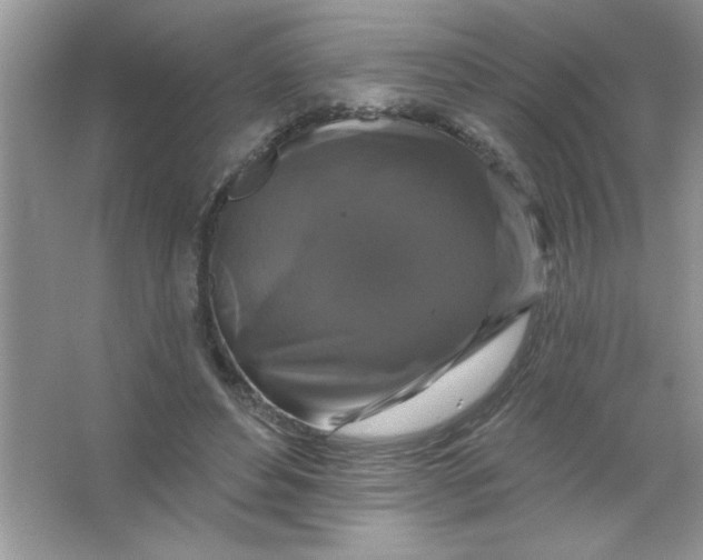 X0000066490496200604072219