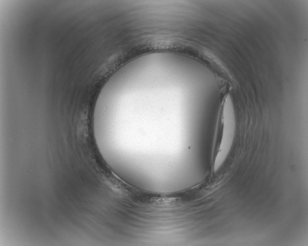 X0000066490497200604072218