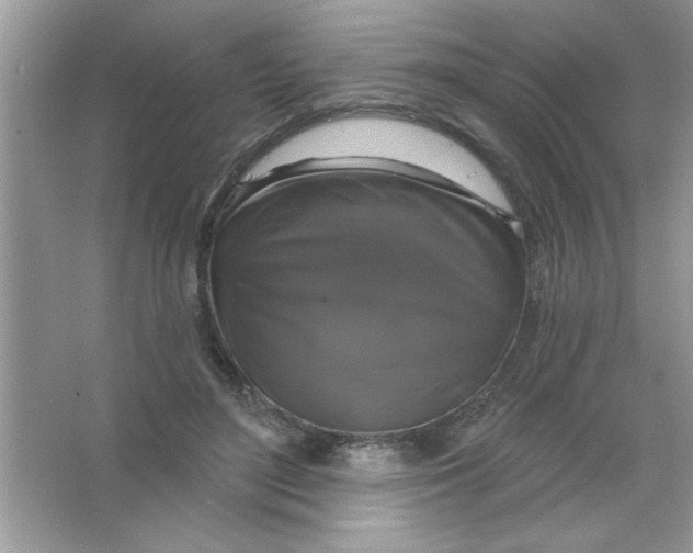 X0000066490500200604072218