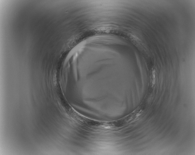 X0000066490504200604072218