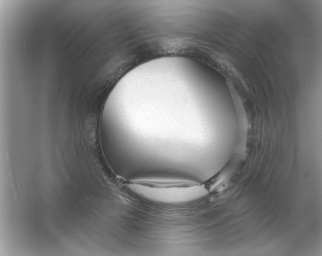 X0000066490505200604072218