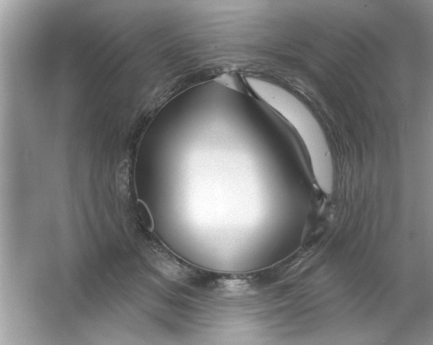 X0000066490509200604072218