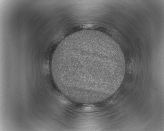 X0000066490510200604072218