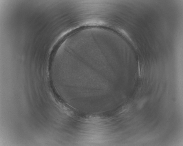 X0000066490531200604072217