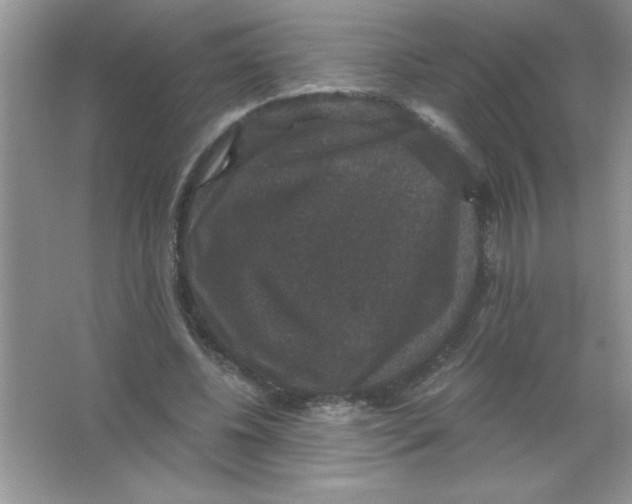 X0000066490540200604072217