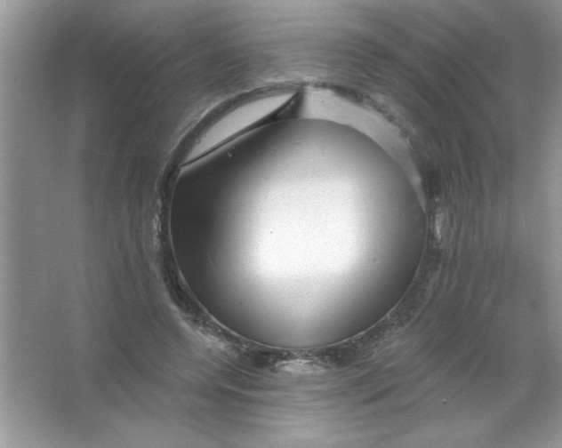 X0000066490544200604072217