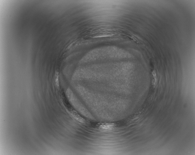 X0000066490560200604072218