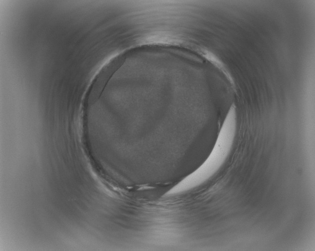 X0000066490580200604072217