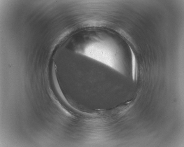 X0000066490581200604072217