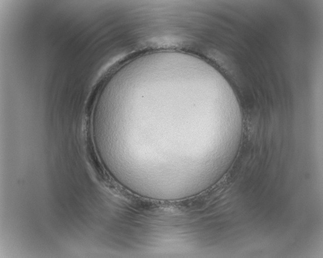 X0000066490583200604072217