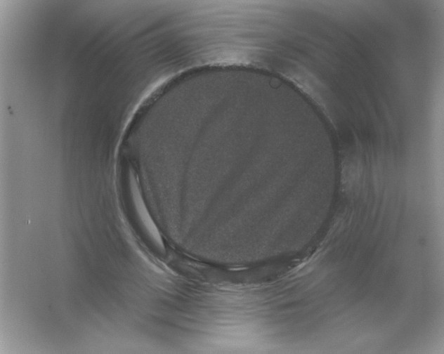 X0000066490584200604072217