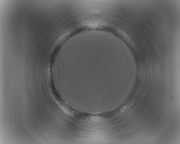 X0000066490590200604072217