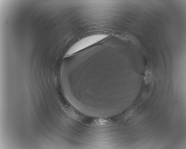 X0000066490607200604072217