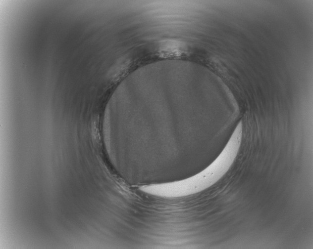 X0000066490616200604072216