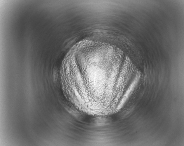 X0000066490623200604072216