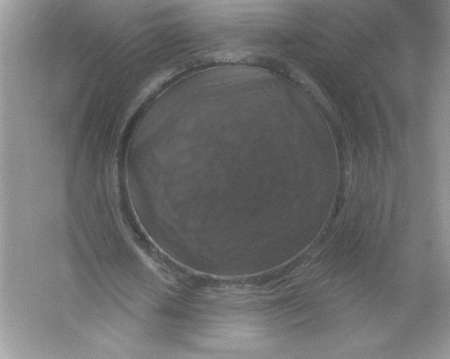 X0000066490626200604072216