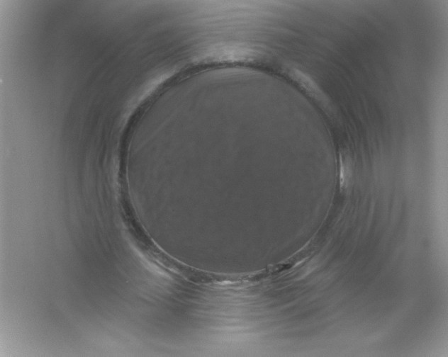 X0000066490627200604072216