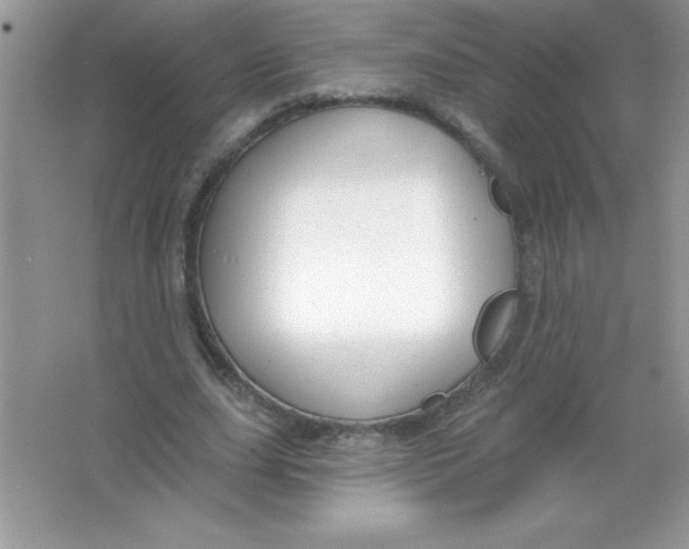 X0000066490631200604072216