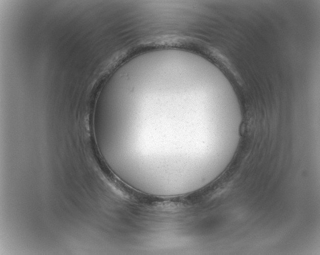 X0000066490633200604072216