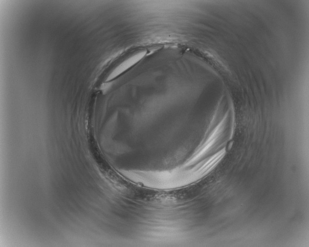 X0000066490640200604072216