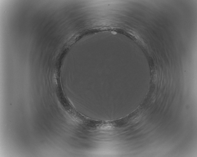 X0000066490643200604072216