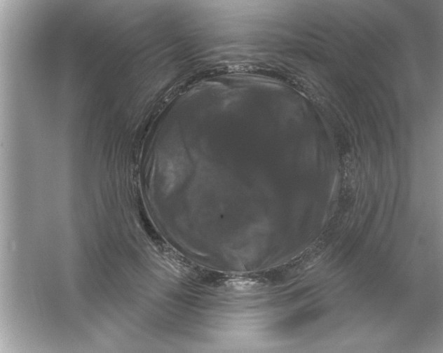 X0000066490650200604072216