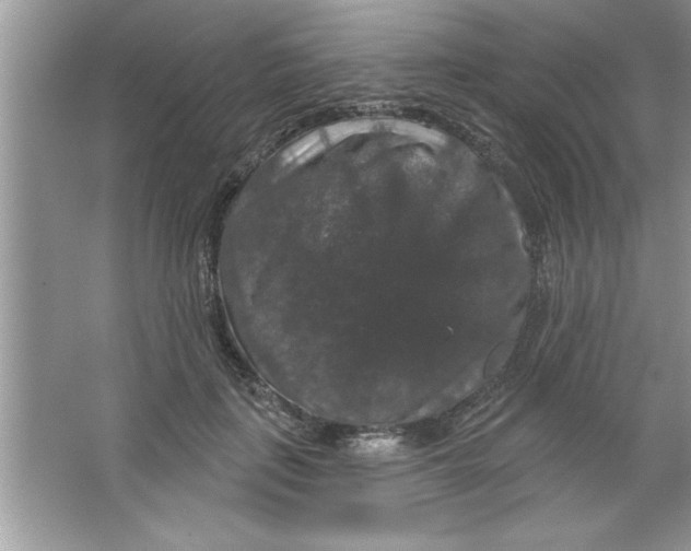 X0000066490651200604072216