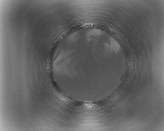 X0000066490654200604072216