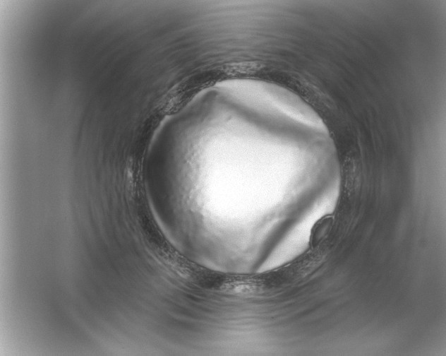 X0000066490655200604072216