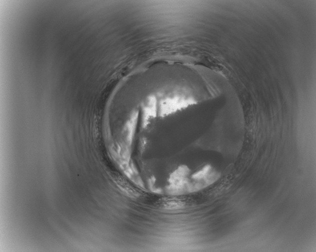 X0000066490658200604072216