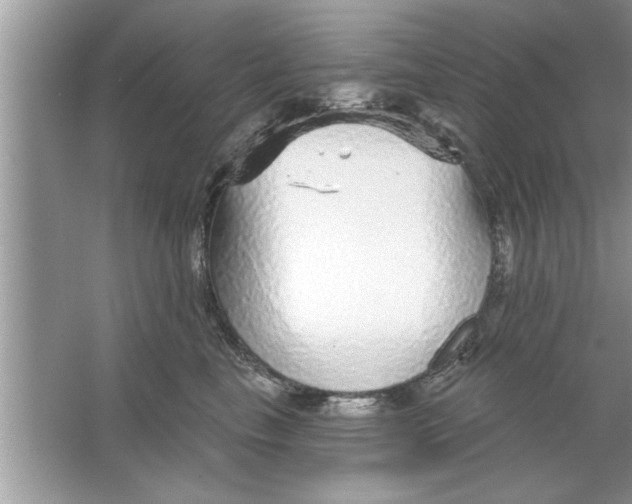 X0000066490665200604072216