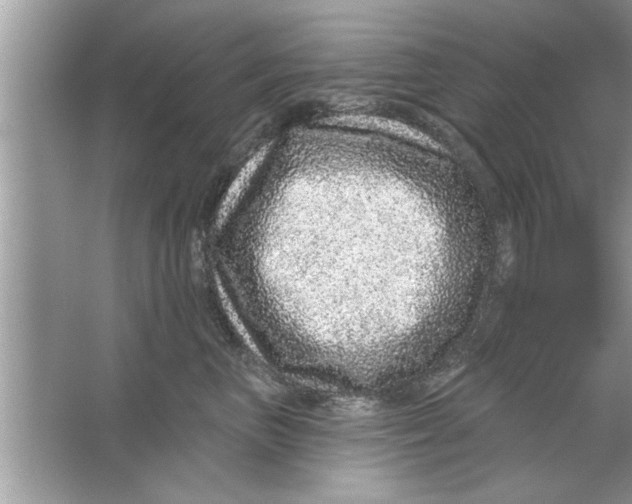 X0000066490667200604072216