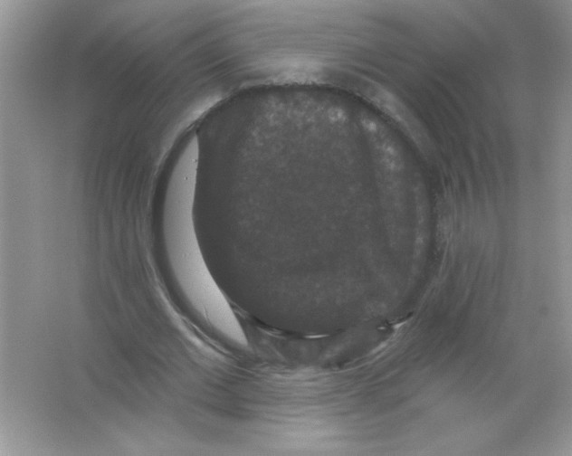 X0000066490677200604072215