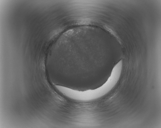 X0000066490681200604072215