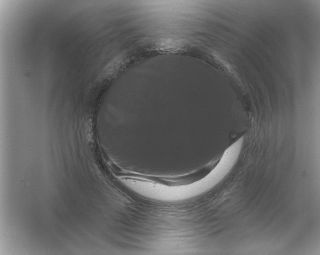 X0000066490689200604072215