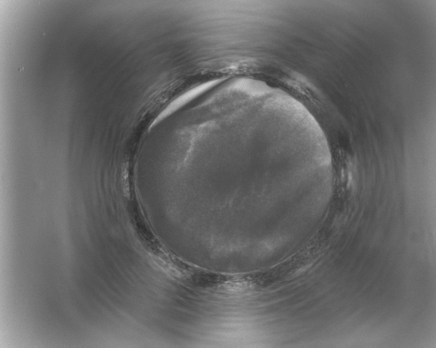X0000066490696200604072215