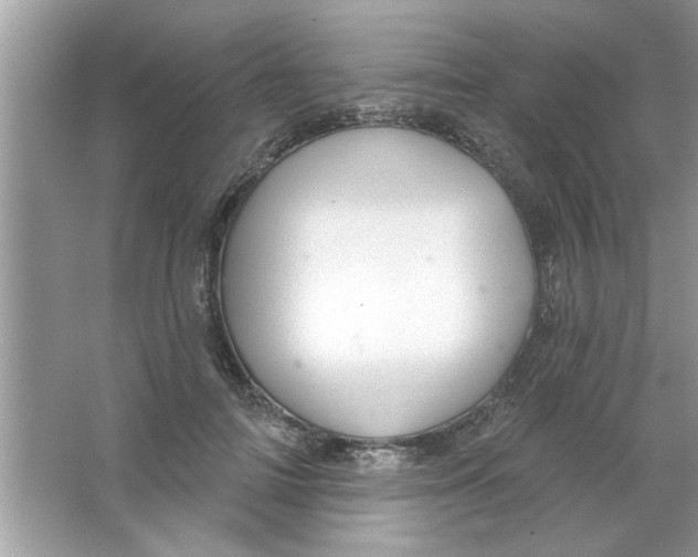 X0000066490698200604072215