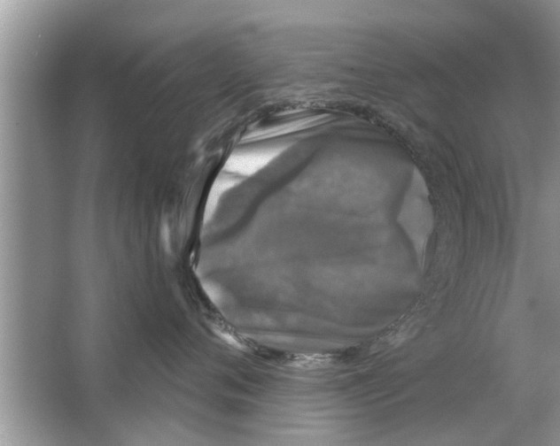 X0000066490720200604072215